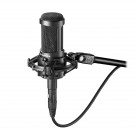 Audio Technica AT2050 Condenser Microphone