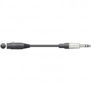 View and buy AVSL XLR Female to 6.3mm Balanced Jack Cable - 1.5m (190260) online