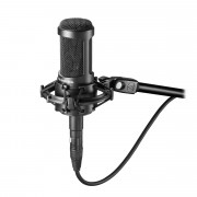 View and buy Audio Technica AT2050 Condenser Microphone online