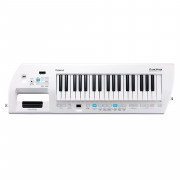 View and buy ROLAND AX09 37 Note Keytar Synthesizer Lucina online