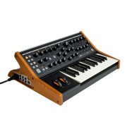 View and buy Moog Subsequent 25 Analog Synthesizer online