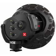 View and buy RODE Stereo VideoMic X Broadcast-Grade Stereo Microphone online