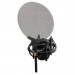 sE Electronics Isolation Pack  - Shock Mount and Pop Filter